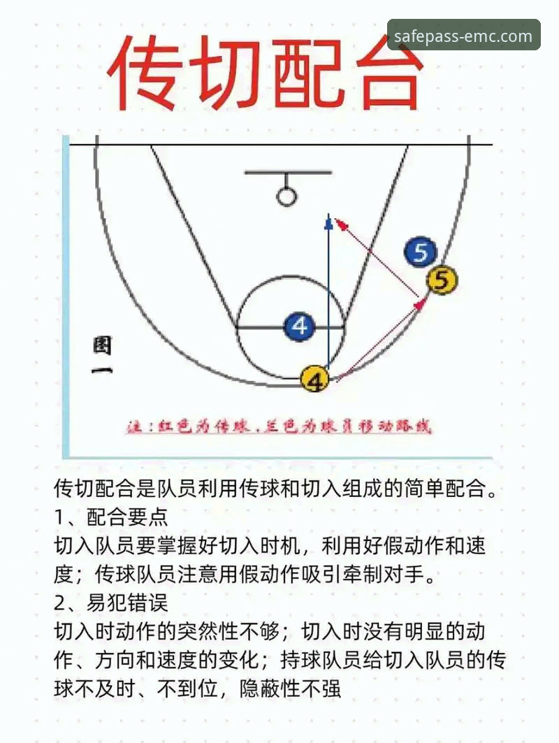emc易倍综合平台直播复盘：广东逆转宁波关键球战术解析教程
